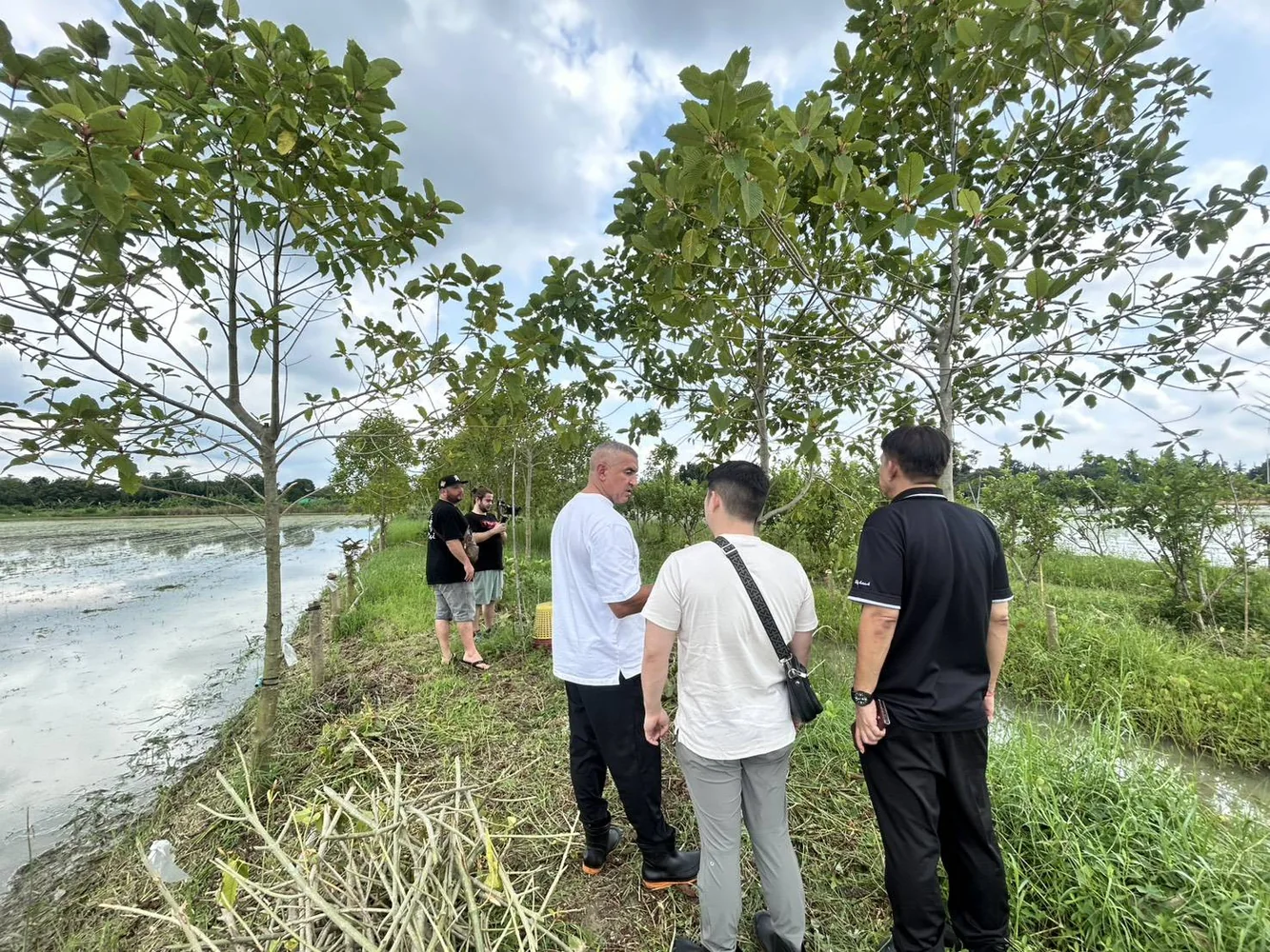 Farm walk with guests