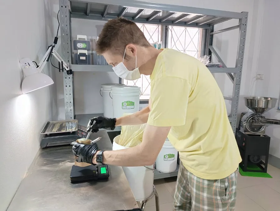 Packing kratom leaf powder during the workshop
